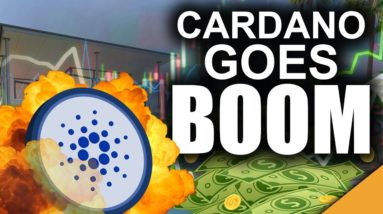 ADA Millions (Getting RICH on Cardano & LOVING It)