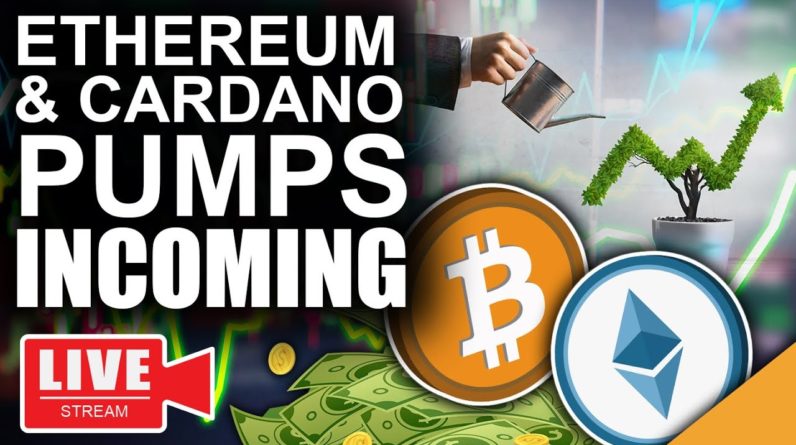 Think Like A Bitcoin Millionaire (Ethereum & Cardano Pumps Incoming)
