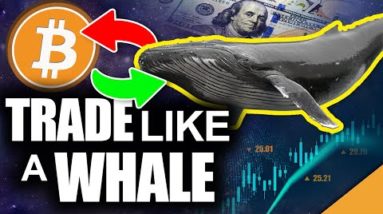 Trade Bitcoin Like a Whale (Best Way to Take BIG Crypto Profits)