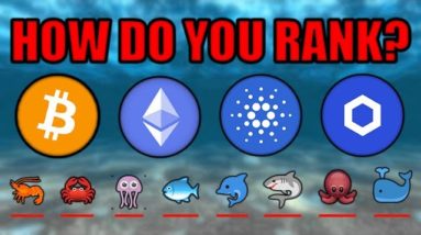 REVEALED: How Much Crypto You REALLY Need To Change Your Life! Chainlink Cardano Ethereum Bitcoin!