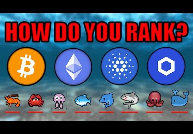REVEALED: How Much Crypto You REALLY Need To Change Your Life! Chainlink Cardano Ethereum Bitcoin!