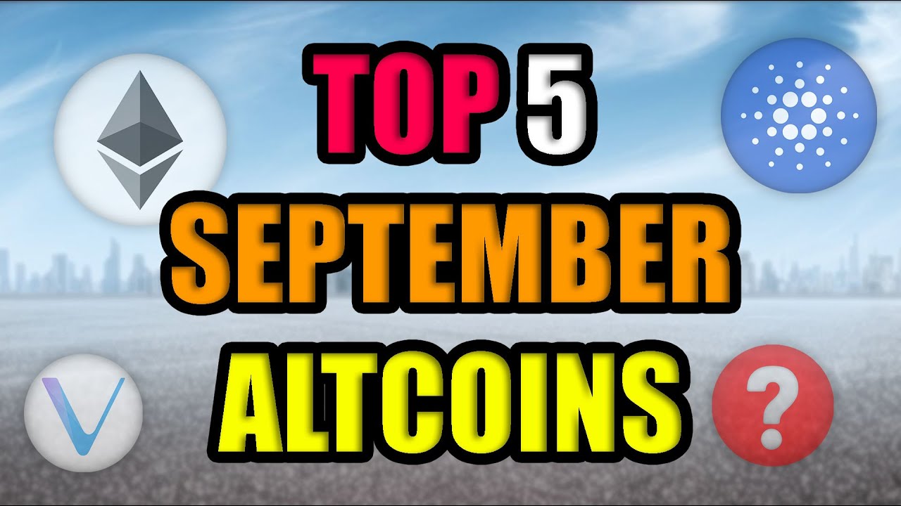 Top Blue Chip Altcoins With Most Potential In September 2021 Best Cryptocurrency Investments