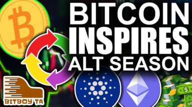 Bitcoin Clears The Way For Huge Altseason