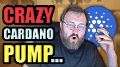 WHY CARDANO IS PUMPING LIKE CRAZY... | Cryptocurrency News