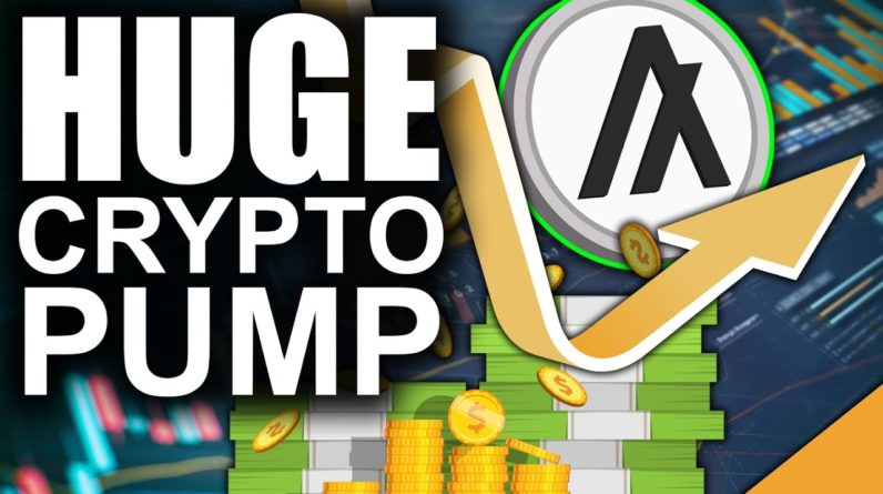 Algorand PUMPS Out Of No Where (Huge Move for Cryptocurrency OG)
