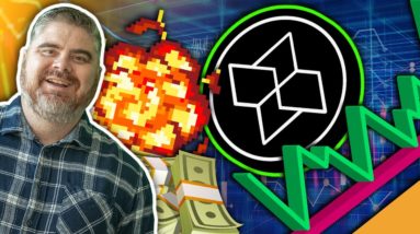 100x Low Cap Gem (Future Hall of Fame Altcoin)