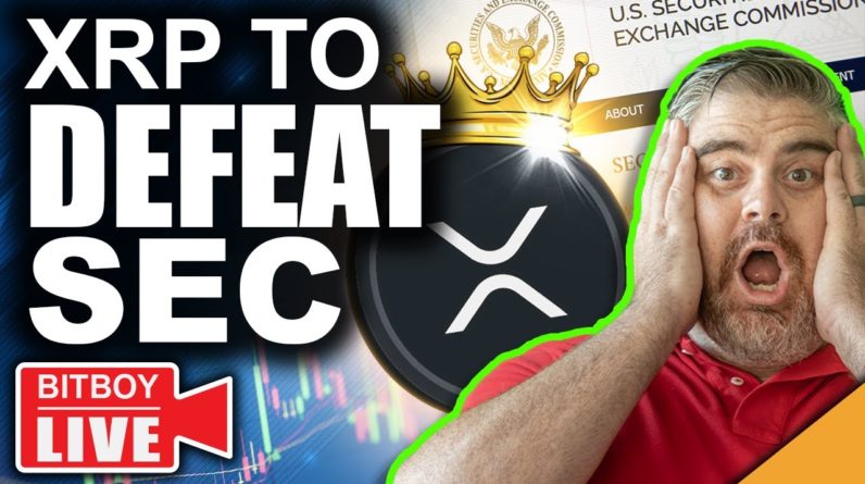 SEC To Approve 4 More Bitcoin ETF's! (XRP To Defeat SEC?!)