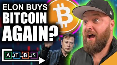 Elon Buying Bitcoin Again? (Crypto Markets PUMPING Today!)
