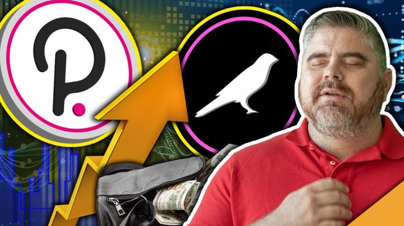Crypto Power Tokens CRUSHING Altcoins This Year (Kusama & PolkaDot HUGE Update)