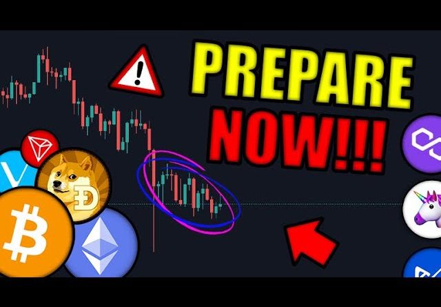 Prepare for DUMP Then MAJOR PUMP! Bitcoin & Altcoin WARNING! + Future Crypto Predictions! 🚨