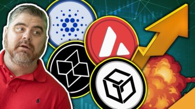 Top Staking Coins of 2022