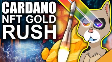 TOP CARDANO NFT PICK 2022! (CNFTs are the future?)