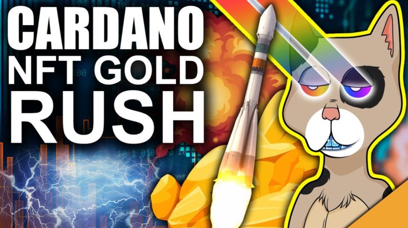 TOP CARDANO NFT PICK 2022! (CNFTs are the future?)