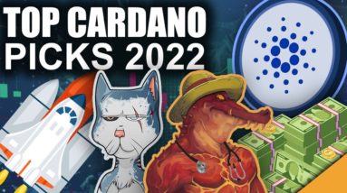 TOP CARDANO PROJECTS MAKING MAJOR GAINS! (CNFTs ARE HERE TO STAY)