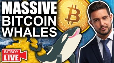 URGENT! Bitcoin PUMPING as INSANE Inflation Report Released (Massive Whale Buys)