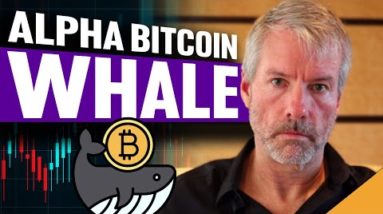 Alpha Bitcoin Whale (Why This Man Knows MORE Than You About Crypto)