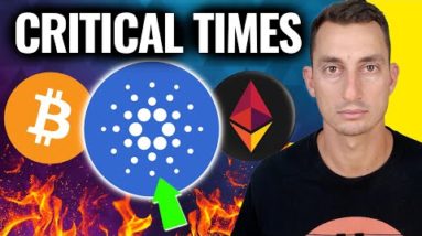 Cardano Update: MY BIGGEST ADA WARNING!