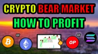 How To Make CRAZY Money in Cryptocurrency During a BEAR MARKET! Ethereum or Bitcoin? or Solana?