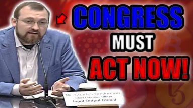 CARDANO FOUNDER EXPLAINS CRYPTOCURRENCY REGULATIONS to US CONGRESS