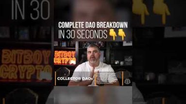 Complete DAO Breakdown In 30 Seconds