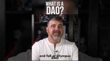 What is a DAO?