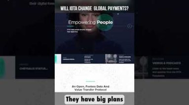 Will Iota Change Global Payments?