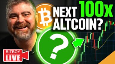 NEXT 100x Altcoin? (Bitcoin Ready To MOVE)