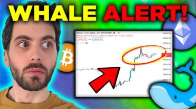 The REAL REASON Bitcoin Is Going Up… [Whale Buys $1 BILLION]
