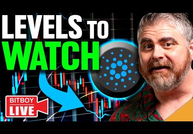 $2.5 BILLION Cardano Activity! (CRUCIAL Bitcoin Levels to Watch)