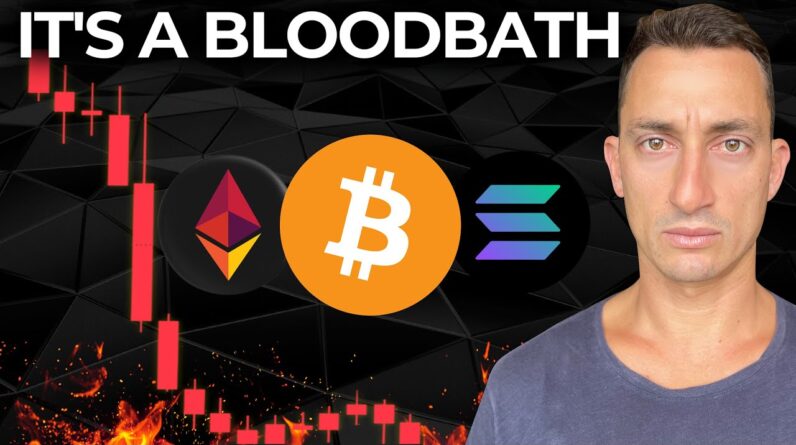 Bitcoin Investors Are Crashing Crypto At An Alarming Rate! How To Navigate The Crypto Like A Pro