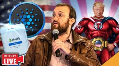 CRITICAL Cardano Update! (Shopify Altcoin Partner)