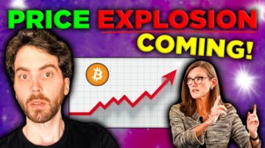 Bitcoin + AI = PRICE EXPLOSION! 2024 is VERY BULLISH! (Here is why)