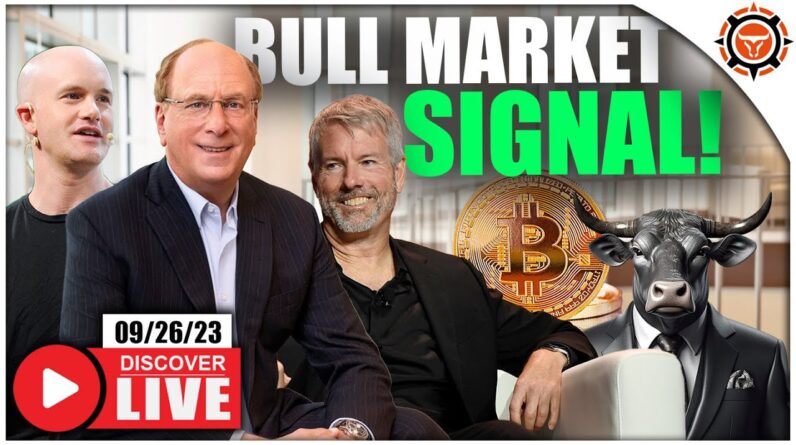 Bitcoin Bull Market Will Start When (THIS) Happens!