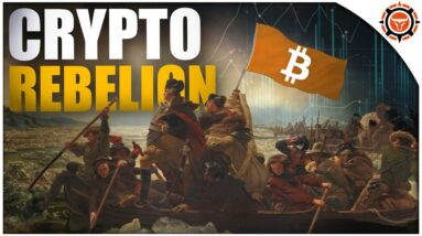 The CRYPTO REBELION (Permissionless Fight For FREEDOM)