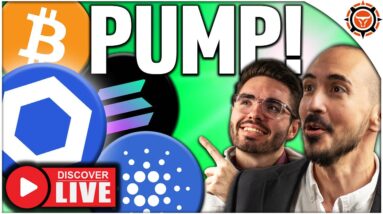 $100 Chainlink INCOMING! (These Altcoins Are Next)