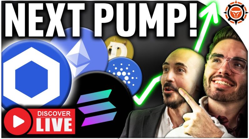 These Altcoins PUMP Next! (Chainlink To FLIP Solana?)