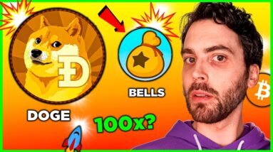 Top Altcoin Set to EXPLODE in DECEMBER 2024!? The Next DOGE!?